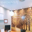 연세인의원 이미지