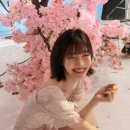 조이소프트 이미지