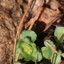 팔현2리 이미지