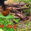 경북대학교 식물방역대학원 이미지