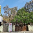 앵두식당 이미지