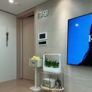 M011 | [신혼집 추천]알루아 비스포크 거실테이블: 투명+핑크브라운 내돈내산 후기