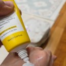 리커버리 | 재생크림 셀투덤 포스트 리커버리크림 솔직 후기