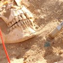 be my isle II 이미지