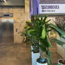 풍동동막길 | [충주 대형 카페] 더젬 풍동 야경 솔직 후기
