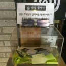 방범골뱅이 이미지