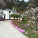 들꽃팬션 앞 이미지