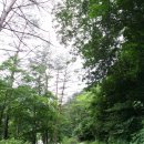 고향펜션캠핑 이미지