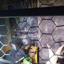 근우농장 이미지