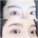 마벨디 이미지
