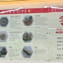 생면베트남쌀국수하이퐁 이미지