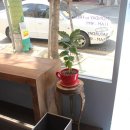 두더지식당 이미지