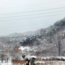 폭포가든캠핑장 이미지
