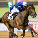 에이스코리아 이미지