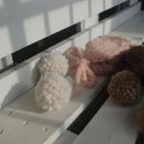 미르의 뜰 이미지