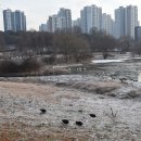 평택시립도서관 이미지