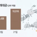 왔다 개미 이미지