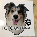 보드콜리(Board Collie) | 보더콜리 반려견 사진스티커 애견스티커 '토토온보드' 강아지스티커