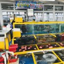 홍산시장 공중화장실(생선전) | 대진항 수산시장 | 완덕이네 횟집 | 내돈내산 후기