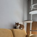 소만주공아파트 이미지