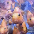 2876 | 전라남도해양수산과학관 : 여수 아이와 가볼곳, 입장료, 방문후기