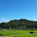 스위스모텔 이미지