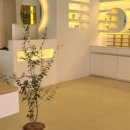 모도리안경원 이미지