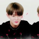 아미고