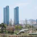 서울 주택시장, 마이너리그의 반란 시작됐나 이미지