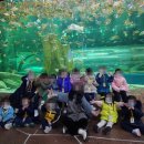 참조은어린이집 이미지