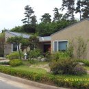 정원이 아름다운 집 이미지