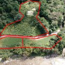 개울가 야영장 이미지