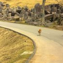 미미캣살롱&고양이호텔 | [후쿠오카 여행] 유후인, 아프리칸 사파리, 벳푸 버스투어 (사파리/가마도지옥 입장료 포함)