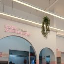 최고당돈가스 도당점 이미지