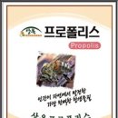 상옥프로폴리스 이미지