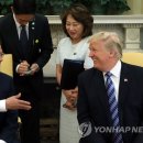 자유 이미지