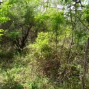 색달동-2 이미지