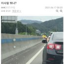 모하이