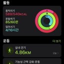 샐러디랩 이미지