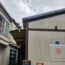 세화리해수욕장 | [세화 온게스트하우스] 세화해수욕장 도보 10분 가성비 게하 2박 내돈내산 솔직 후기