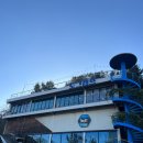 도그캠프 이미지