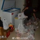 황금오리알 이미지