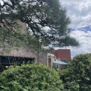 9월 공연 대중가요 yellow 감성콘서트 | ✨성북동 주민의 제2회 성북동성당콘서트 방문록✨