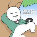 태림시술원 이미지