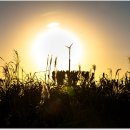 하늘공원 이미지