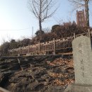 의령 서동리 함안층 빗방울 자국 | 의령 서동리 함안층 빗방울 자국... 의령 특이한 볼거리 천연기념물 196호
