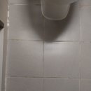 별내동45통(우미린아파트) | 남양주 별내동 줄눈시공 별내 우미린 아파트 사례