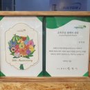 이태리안경콘택트 네이버블로그