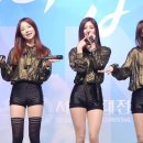 실수로 쌩 MR에 공연한 EXID 무대.ytb 이미지