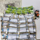 영어조합법인 해담인 이미지